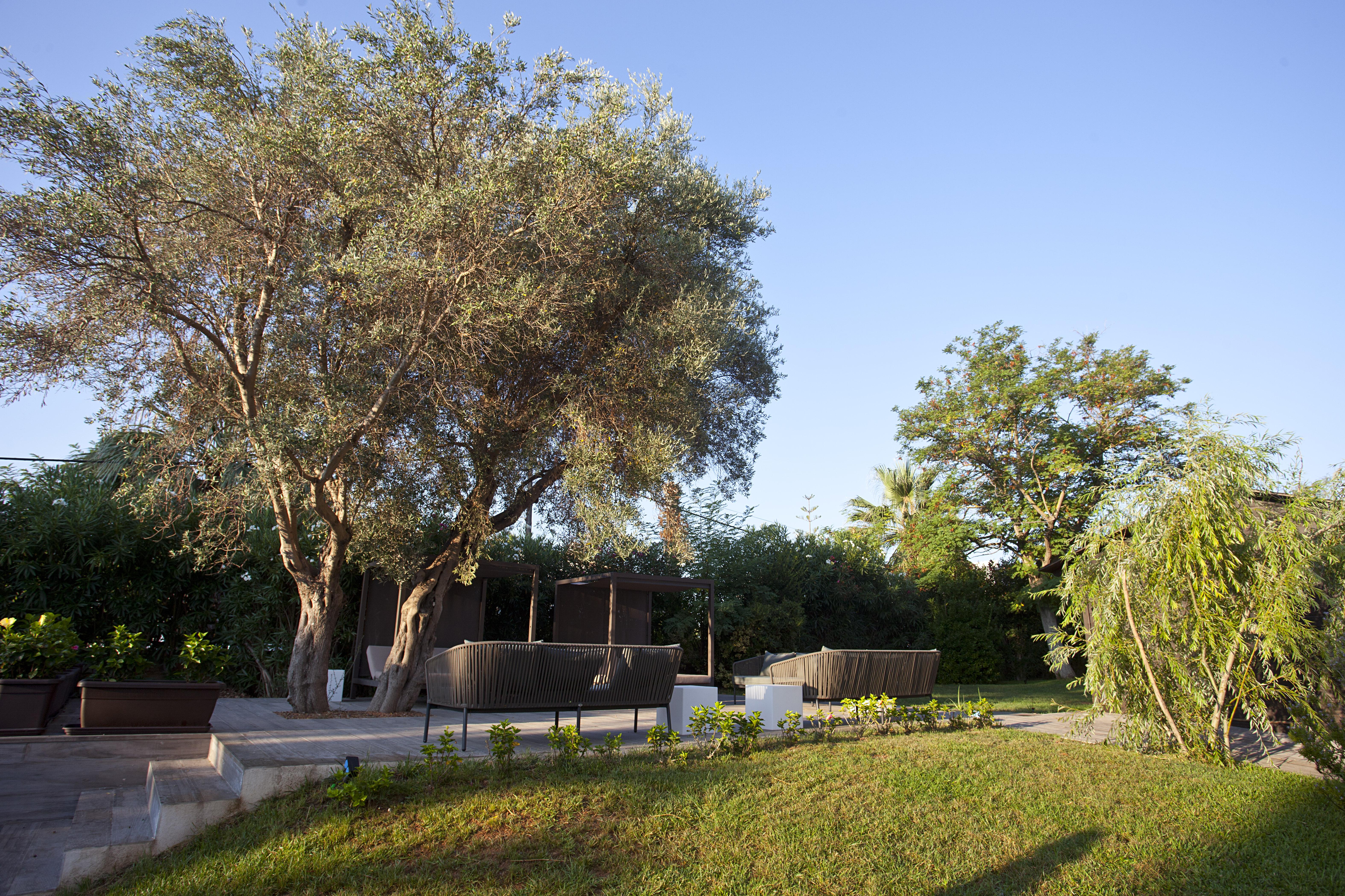 Hotel Bahia Pollensa Port de Pollença Ngoại thất bức ảnh