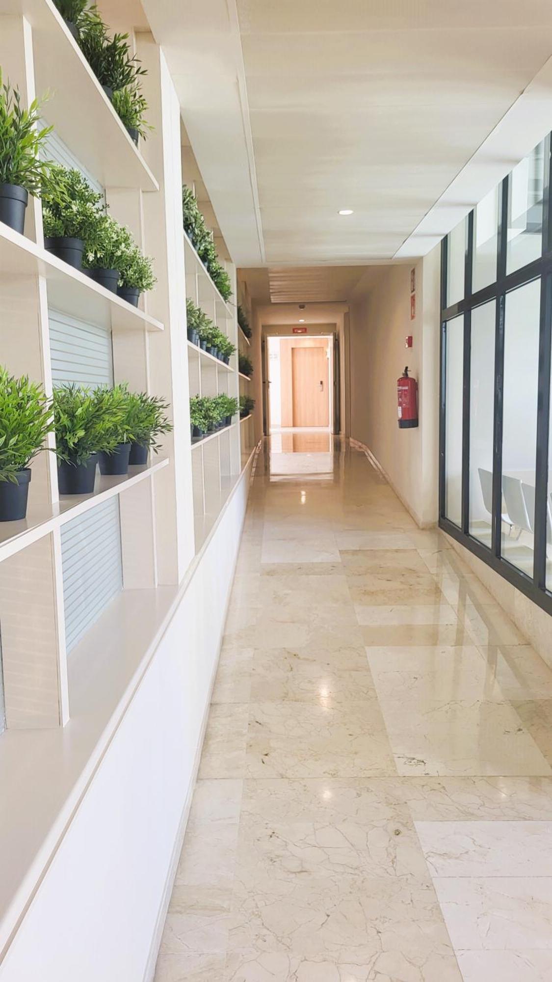 Hotel Bahia Pollensa Port de Pollença Ngoại thất bức ảnh